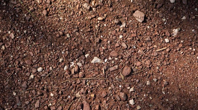 How To Deal With Hazardous Soil Contamination Effectively